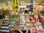 有明工房写真